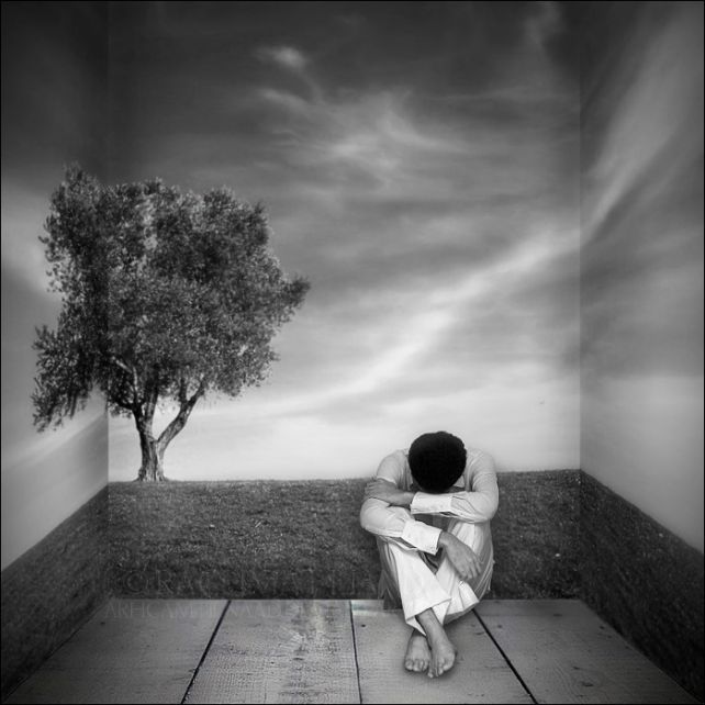 sem41