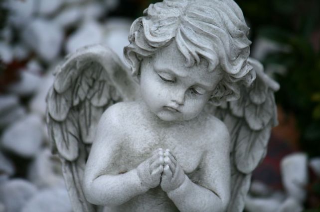 angel