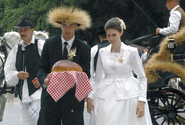 voj-duzijanci